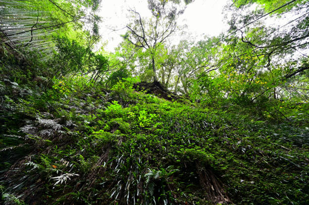 istock Natural cave of Iokido 2204314498