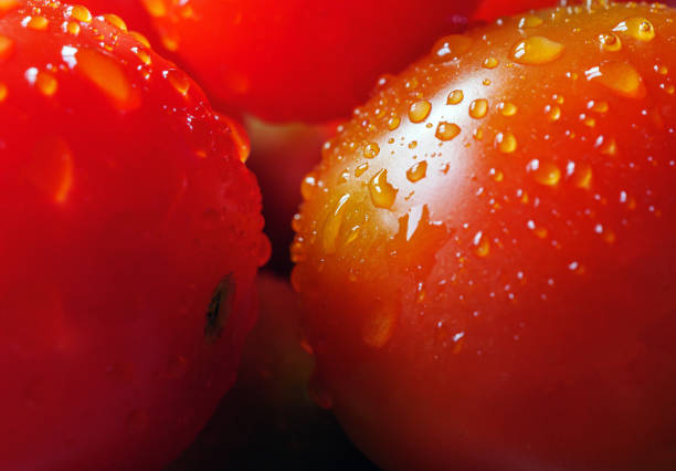 Macro shot of  tomatoes surface with water drops, macro food