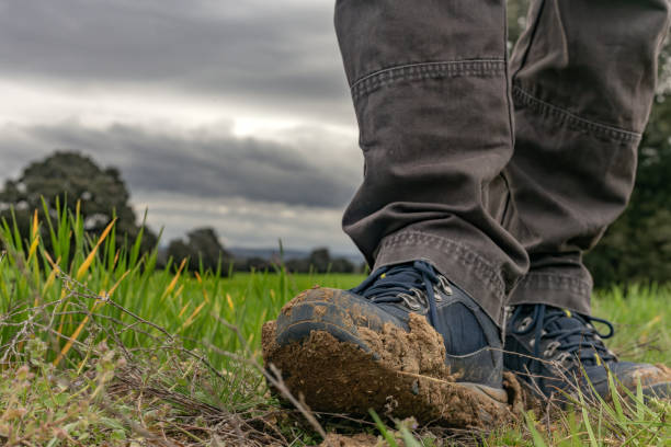 Villamantilla, Madrid, Spain. Farmer wearing muddy boots standing in a green cereal field under a cloudy sky, emphasizing connection with agriculture and nature