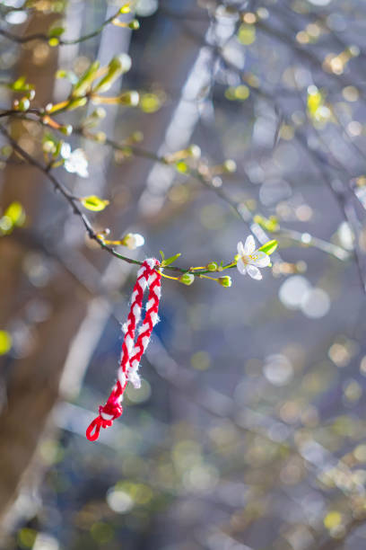istock Martenitsa on blooming branch with white spring flowers, Bulgarian traditions. cultural tradition for good health and prosperity. Bokeh effect. Renewal and arrival of spring concept 2204324072