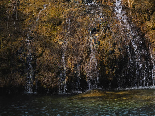 beautiful waterfall in the forest
