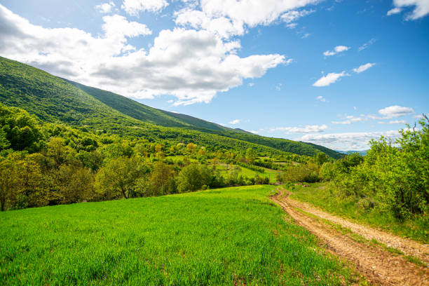 Dirt mountain road on Suva Planina in eastern Serbia