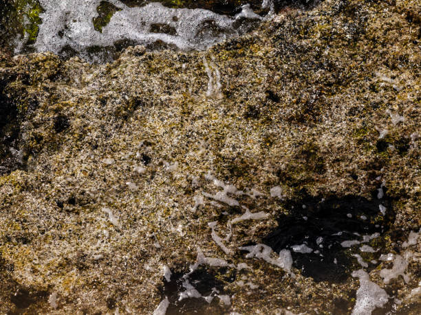 sea ​​waves on the rock