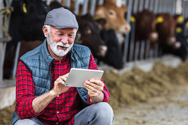 istock Farmer working on tablet on cow farm 2204332614