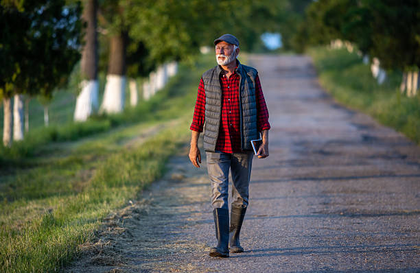 Mature farmer with laptop walking on road with tree line beside on farm in spring time