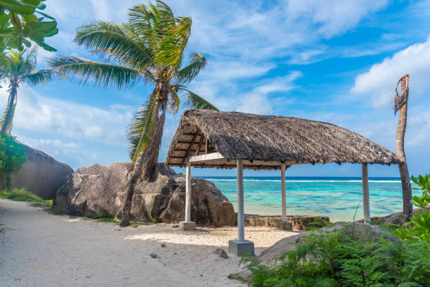 istock Hut by the sea in world famous Anse Source d'Argent beach 2204335864