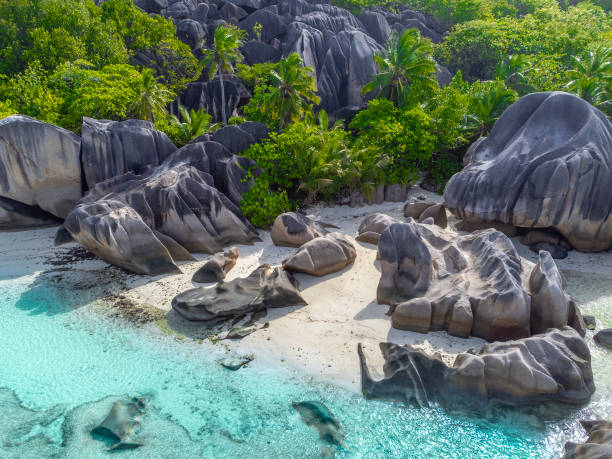istock Drone view of Anse Source d'Argent beach in Seychelles 2204335918