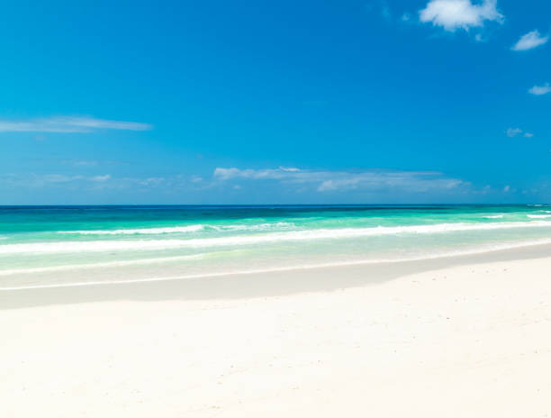 istock White sand and turquoise water in a tropical beach 2204336114