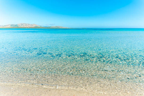 Crystal clear water in La Pelosa beach. Stintino, Sardinia, Italy