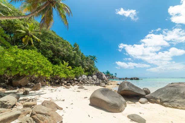 istock White sand and granite boulders in a tropical beach 2204337915