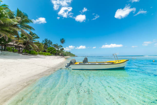 istock Boat moored in an empty tropical beach on a sunny day 2204338021