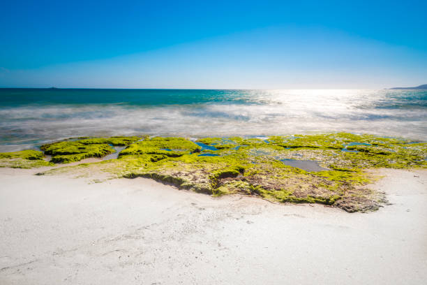 Rocks and sand by the sea on a sunny day. Sardinia, Italy