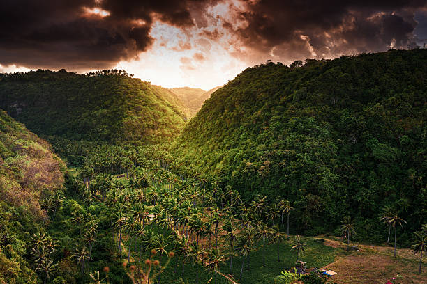 istock Nature landscape with scenery Ricefields, mountain covered tropical rainforests jungle on background colorful sunset 2204339871