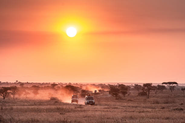 istock Serengeti National Park 2204340729