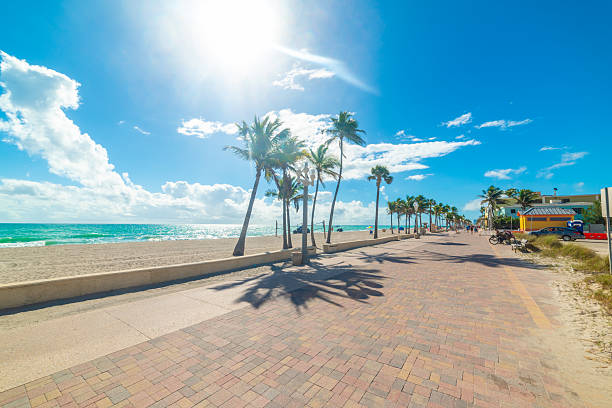 istock Boardwalk in Hollywood under a shining sun 2204340958