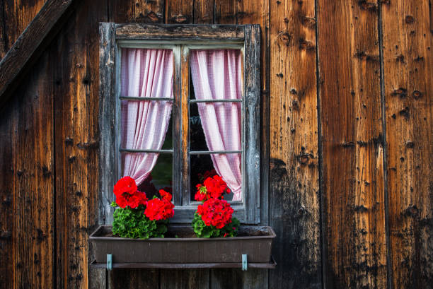 Architectural detail of small window with curtains and red flowers on wall of rustic wood