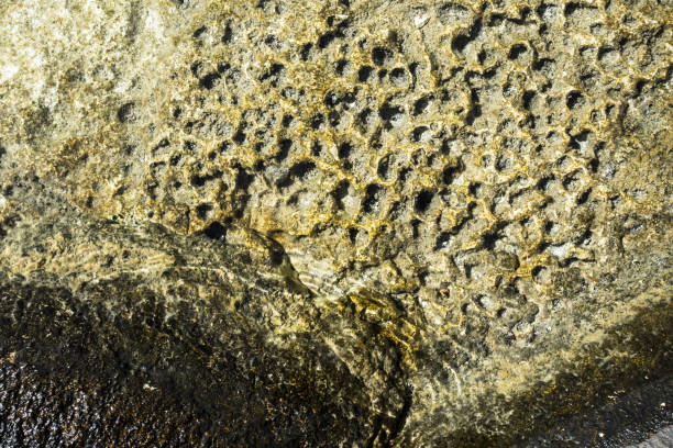 Close up of water touching stone on sea coast