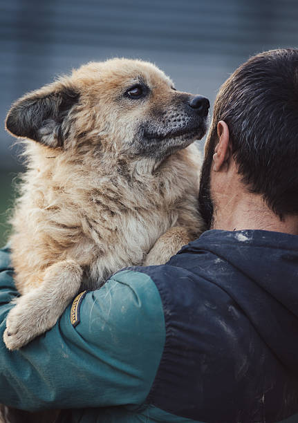 istock Man holding and hugging dog in shelter 2204342825