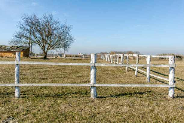 An old wooden fence with peeling white paint stretches across a dry field near a leafless tree and rustic buildings under a clear blue sky.