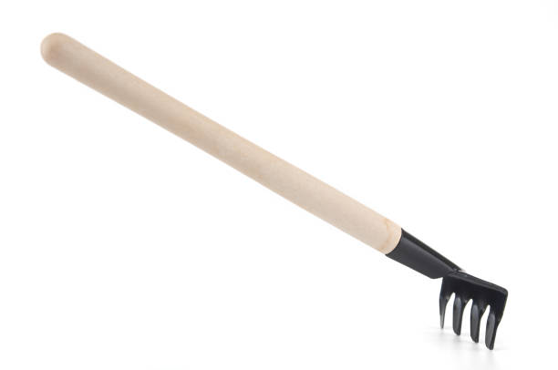 istock Garden rake isolated on a white background 2204353973