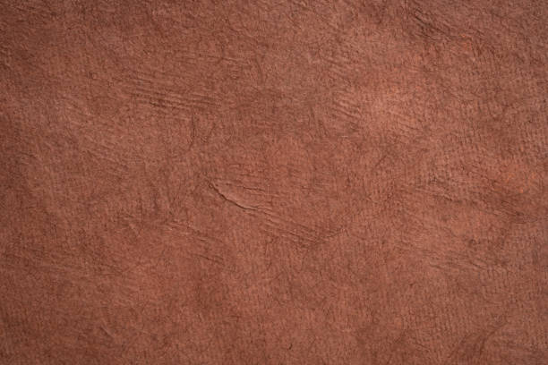 istock macro background and texture of  backlit bark paper handmade in Mexico 2204356761