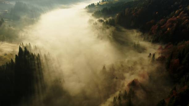 istock A Beautiful Misty Morning Landscape Spanning Over a Serene Green Forest Before Us All 2204357198