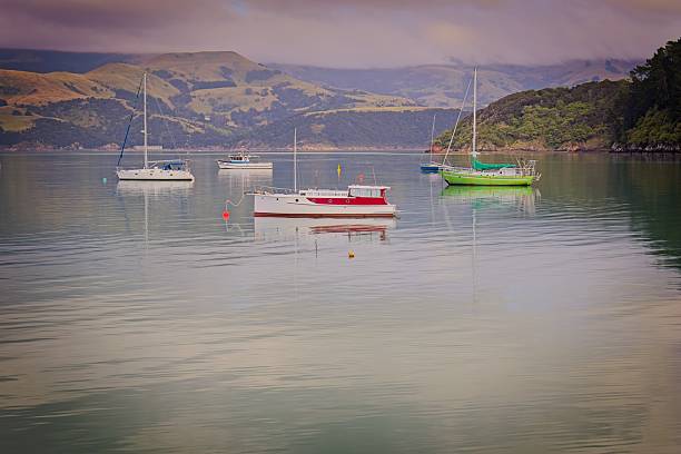 A serene harbor scene featuring several boats anchored in calm waters. The boats vary in color, including red, green, and white, with a backdrop of rolling hills and a cloudy sky.