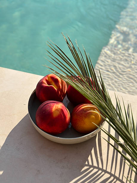 Golden Peaches & Palm Shade