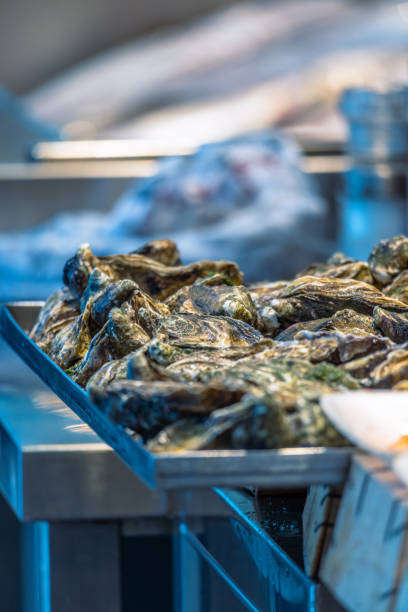 Fresh oysters displayed on ice at a seafood market.