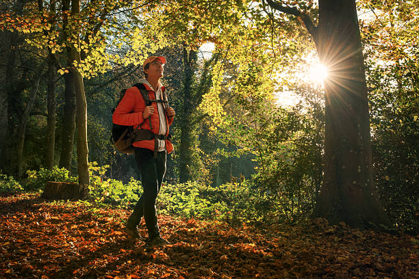 istock Hiking in a forest with the sun shining through trees 2204367863