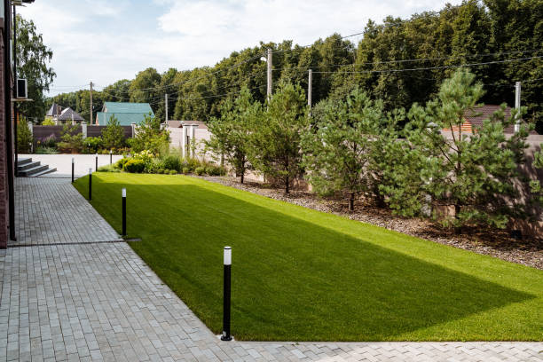 istock A green lawn is surrounded by tall trees and a charming walkway 2204375612