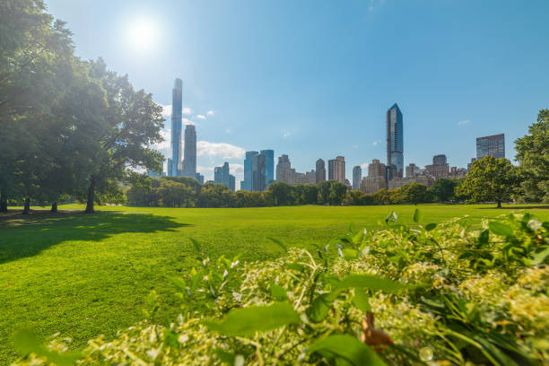 istock Sun shining over Sheep Meadow in Central Park 2204377982