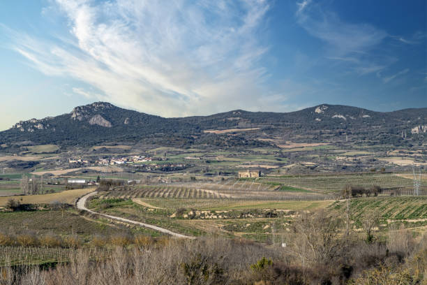 Picturesque view of vineyards, rolling hills, and mountains in La Rioja, Spain, with a small village and historic ruins in the distance.