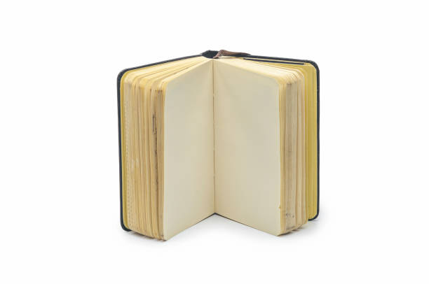 istock Isolated image of an open notebook with blank pages, on white background 2204390240