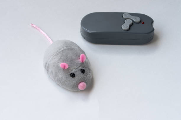 istock Remote Controlled Battery Operated Mouse Toy for Cats 2204392745