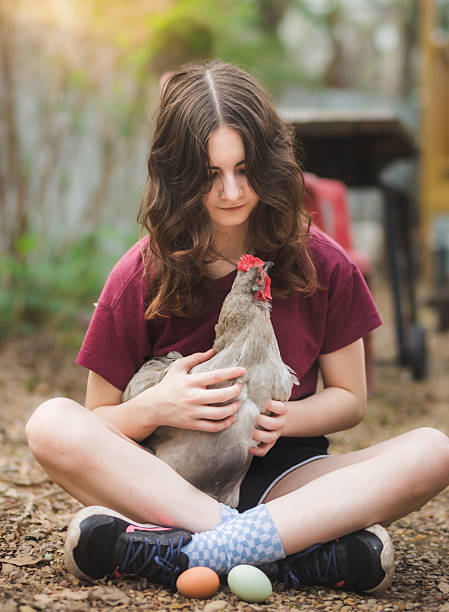 istock Girl holding grey chicken 2204394220