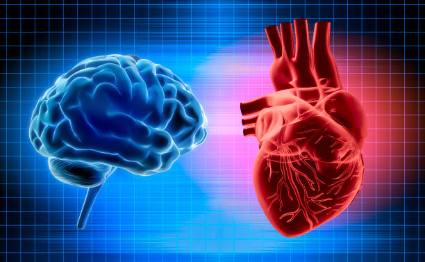 istock Glowing red heart und blue brain on dark background 2204396695