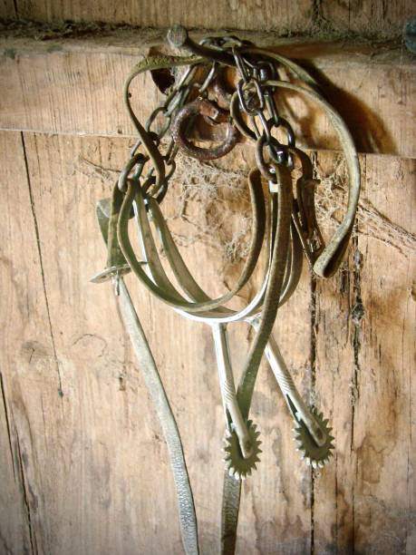 istock a pair of spurs for riding a horse 2204400343