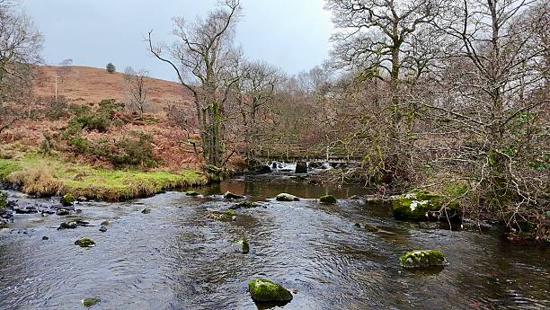 istock A gently flowing river with moss-covered rocks and bare winter trees 2204405815