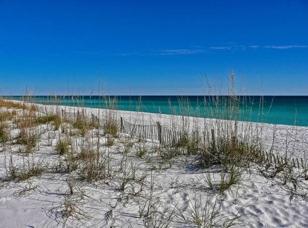 istock Pensacola Beach Scenic 2204407187