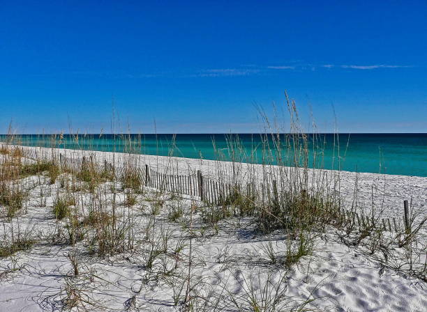 istock Pensacola Beach Scenic 2204407190