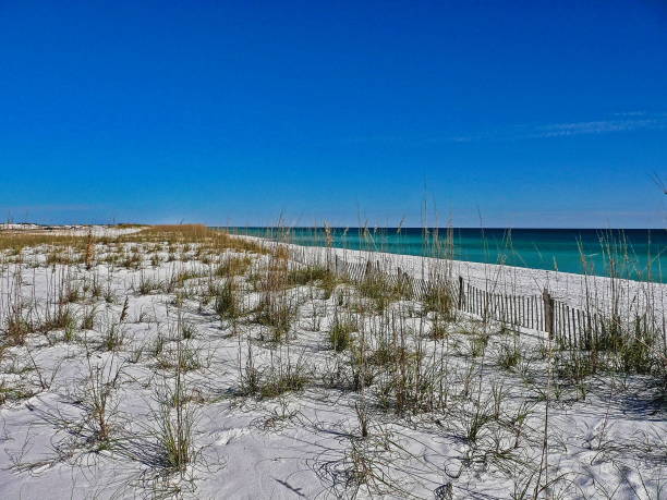 istock Pensacola Beach Scenic 2204407195