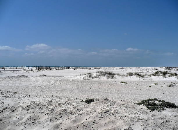 istock Pensacola Beach Scenic 2204407209