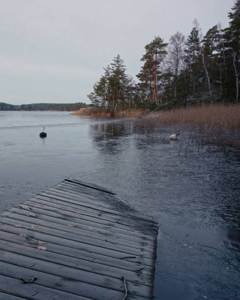 Scenic view of a lake during winter
