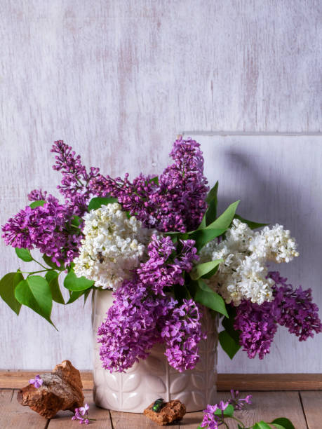 istock Bouquet of multi-colored lilacs, wood chips and insects on a light background. 2204410308
