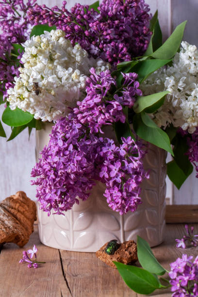 istock Bouquet of multi-colored lilacs, wood chips and insects on a light background. 2204410313