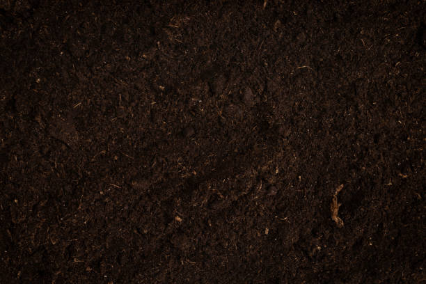 istock Black land for plant background. 2204412318