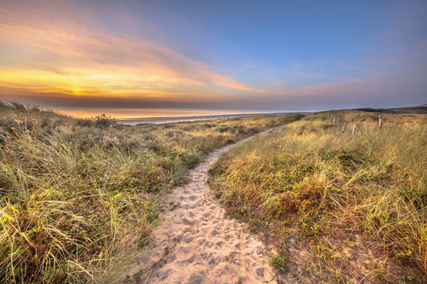 istock Walking trail in coastal dune landscape 2204414547