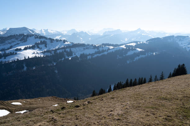 The Alpstein mountain range with snow-covered peaks are visible under a clear blue sky. In the foreground, a gently sloping hillside has patches of grass and snow. A dense forest of evergreen trees is situated at the base of the mountains.