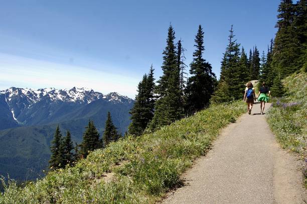 istock Hiking In Olympic National Park 2204418082